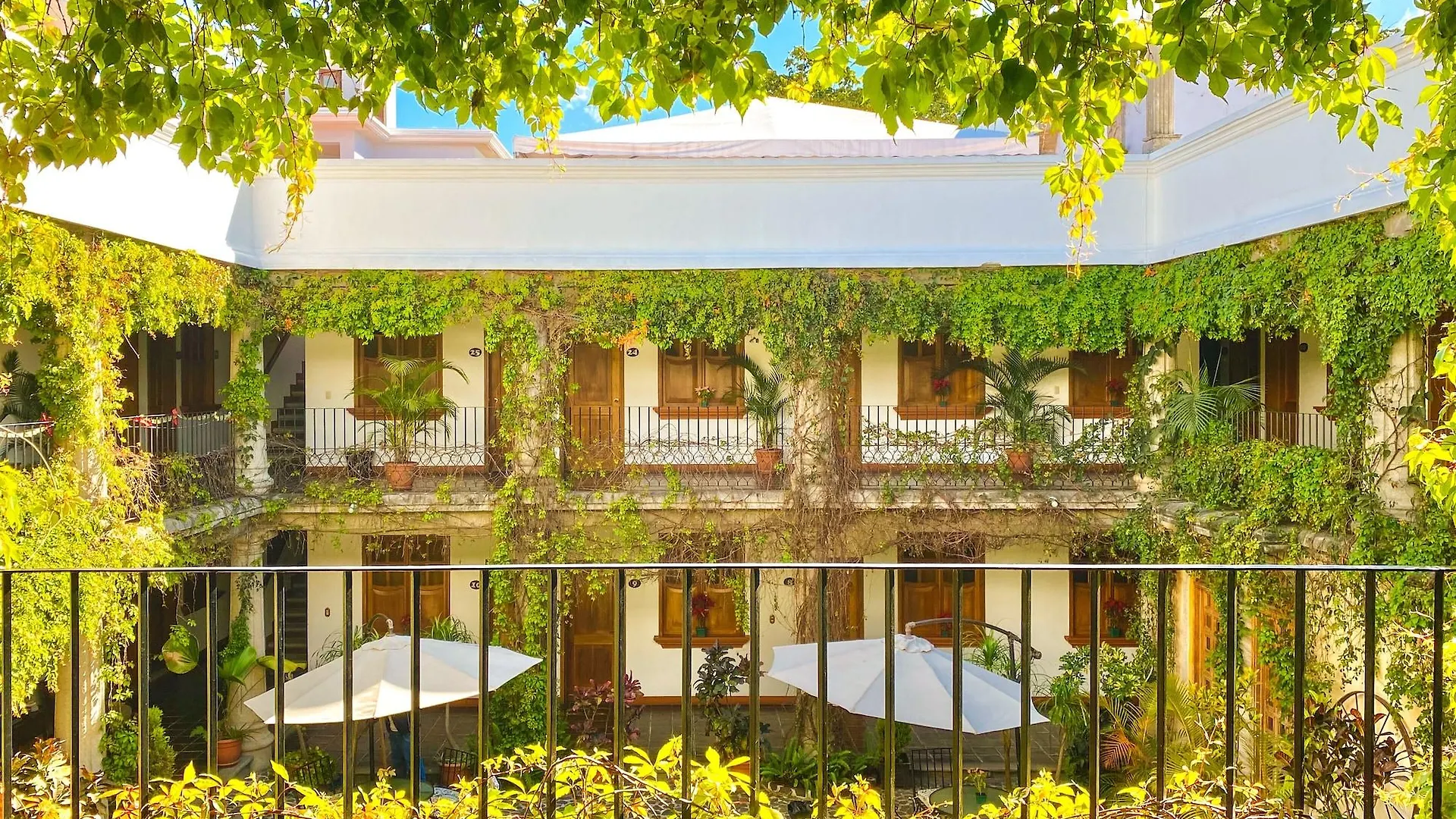 El Carmen Suites contacts