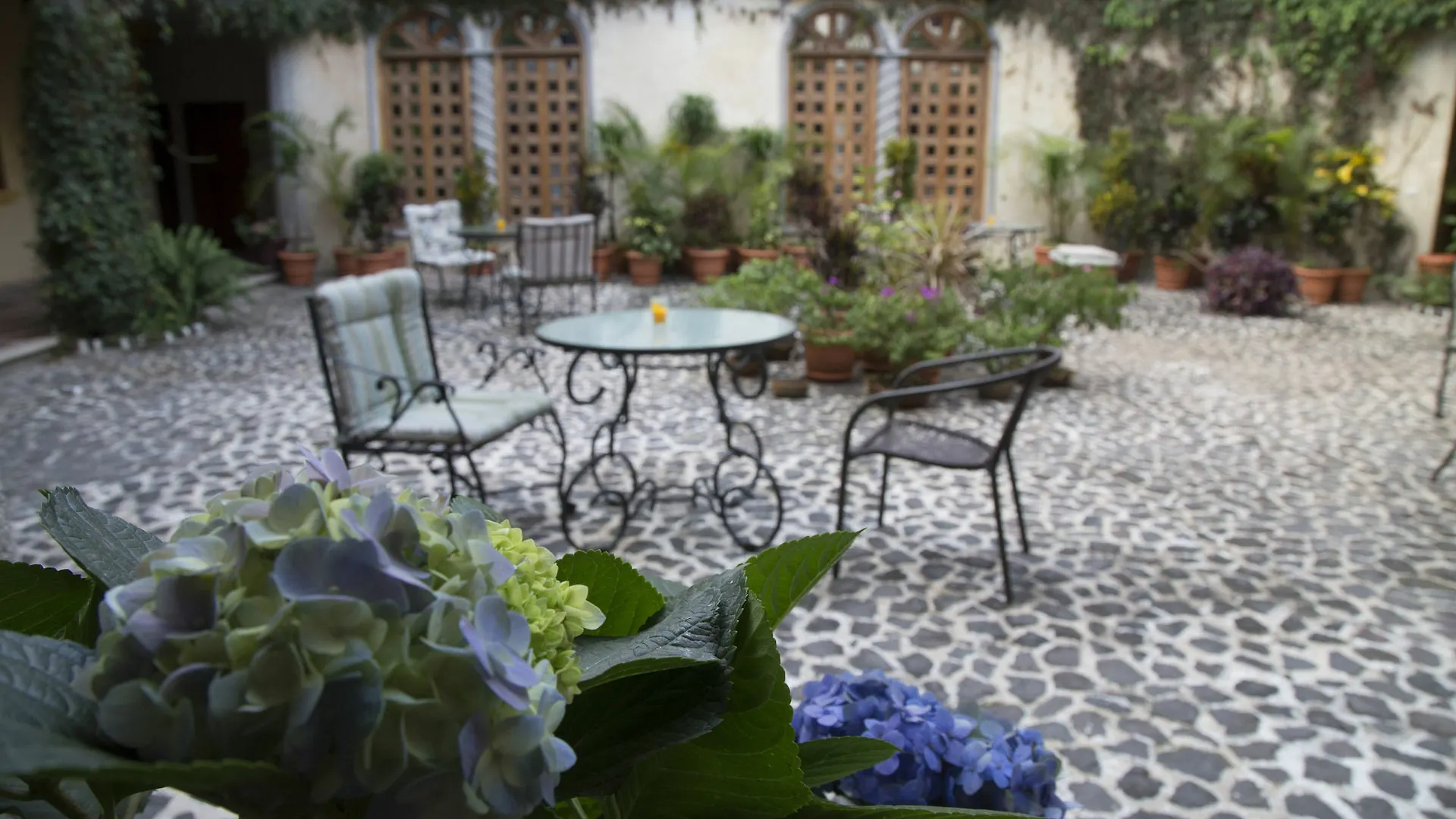El Carmen Suites Antigua Hotel